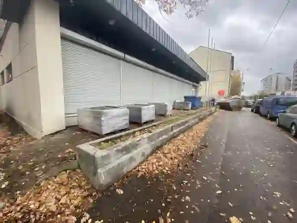 Ropažu iela projekts